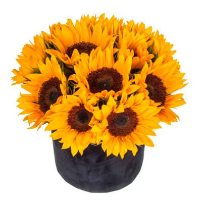 Подсолнухи в шляпной коробке «Солнечный заряд»
